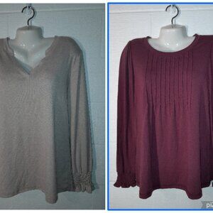 Set of 2 Women's Sz Large Long Sleeve Tops Beige Red Business Casual Blouses